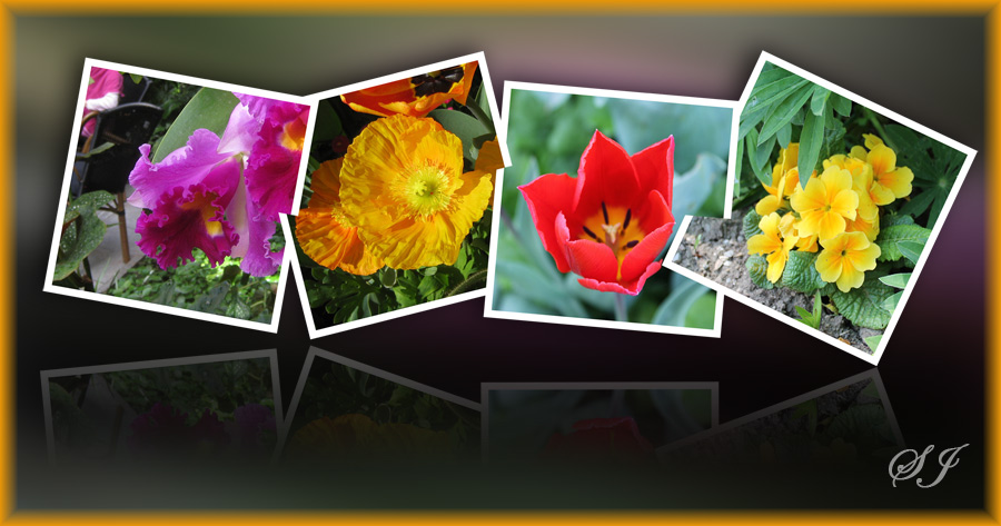 lange bilder