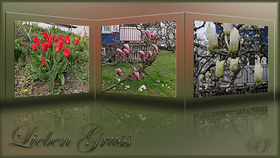 Bilder lang