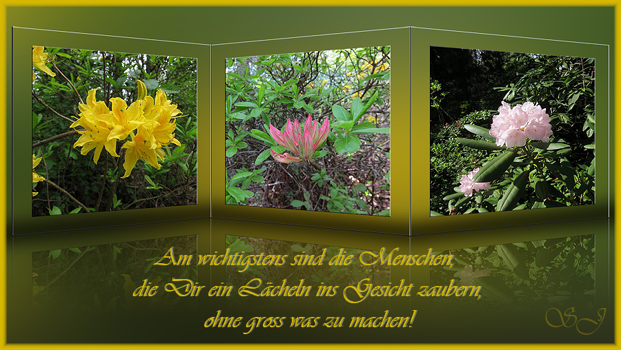 lange bilder
