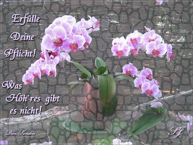 Textur