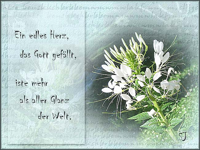 Textur