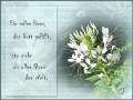 2014_07_22 b650