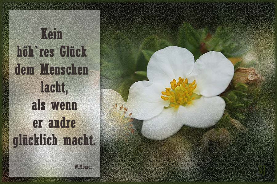 sprueche