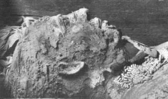Leinenmumie, in Saqqara gefunden, um 2400 v. Chr.