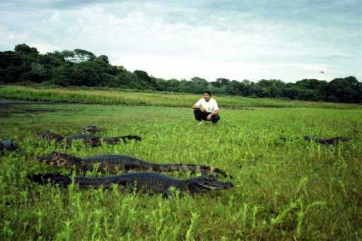 PantanalJagaresMe.jpg