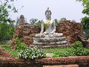 P1010029 kl.jpg (11963 Byte)