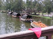 P1010046 kl.jpg (10973 Byte)