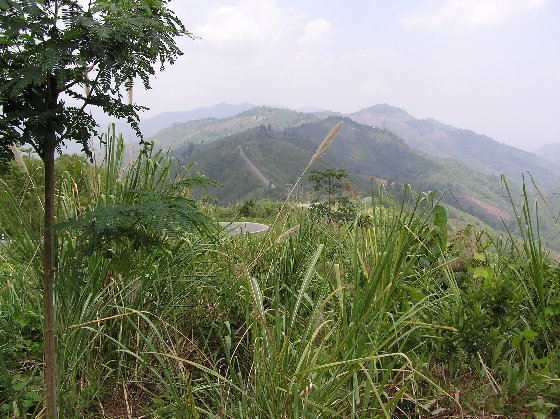 H�gel .jpg (93064 Byte)