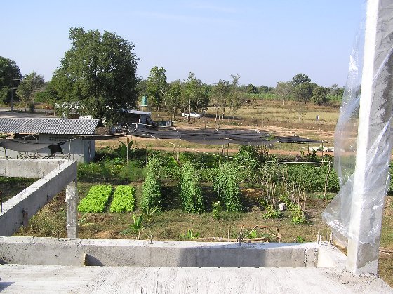 OG. 01.jpg (84773 Byte)