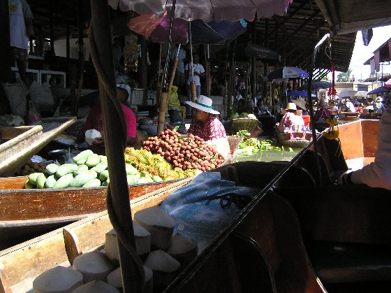 P1010017.jpg (70711 Byte)