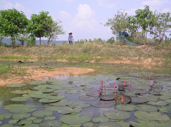 P1010022.jpg (73534 Byte)