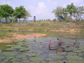 P1010022kl.jpg (7751 Byte)