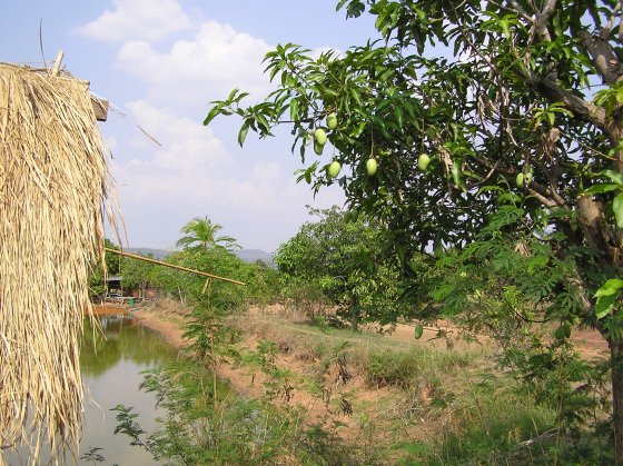 P1010025.jpg (95782 Byte)