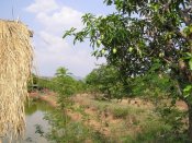 P1010025kl.jpg (9962 Byte)