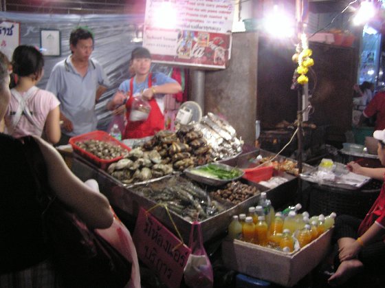 P1010032.jpg (53157 Byte)