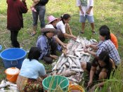 P1010038kl.jpg (10990 Byte)