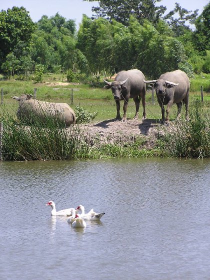 P1010053.jpg (92430 Byte)