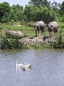 P1010053 kl.jpg (11406 Byte)