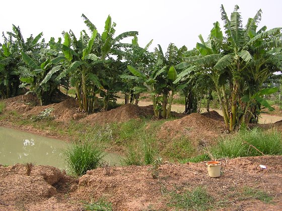 P1010055.jpg (104816 Byte)