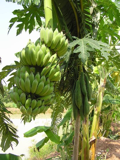 P1010096.jpg (98958 Byte)