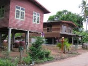 P1010140kl.jpg (8868 Byte)