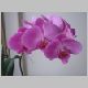DSC00226.JPG