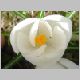 DSC00720.JPG