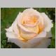 DSC08151.JPG