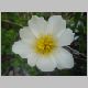 DSC08174.JPG
