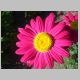 DSC08297.JPG