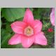 DSC08500.JPG