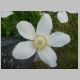 DSC08516.JPG