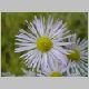 DSC08897.JPG