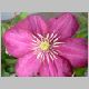 DSC09355.JPG