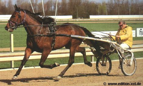 Bahn FГјr Galopp Und Trabrennen Bahn FГјr Galopp Und Trabrennen