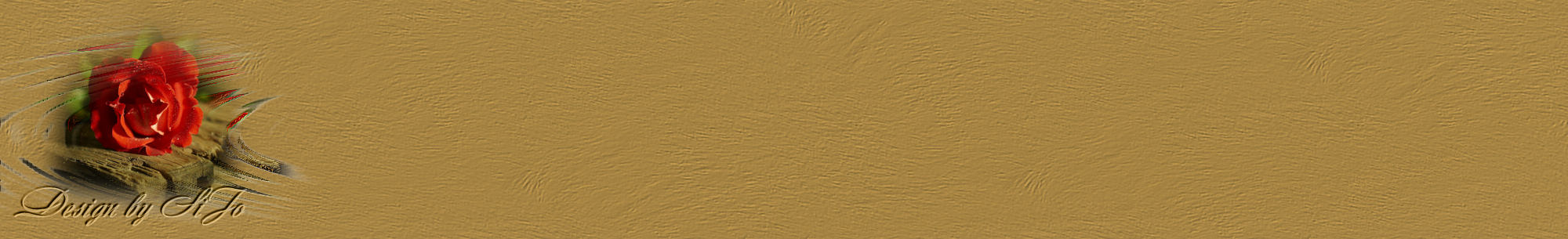 Bild5