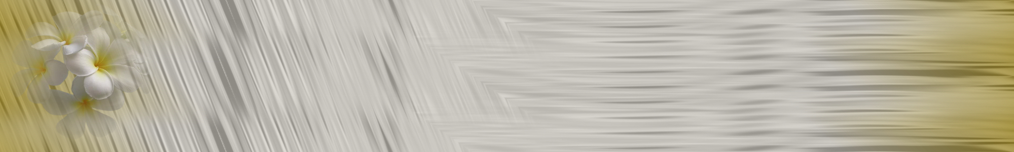 NeuJan11