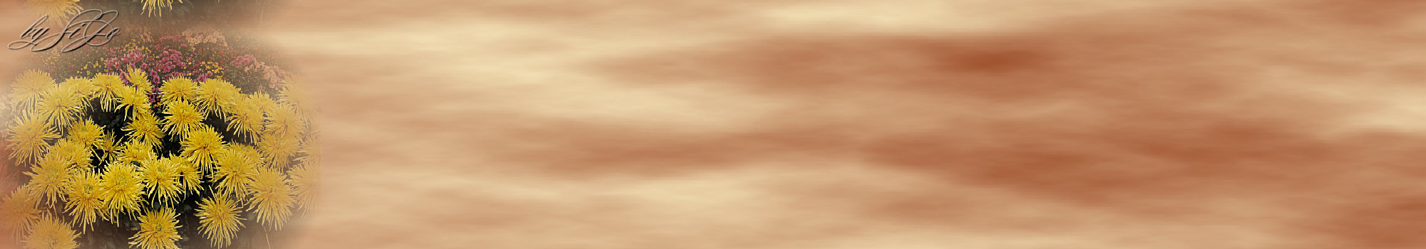 chrysantheme2