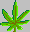 cannabis, thumbnail gallery, drawing, artwork, oil painting