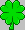 shamrock, fine art