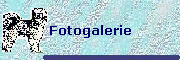 Fotogalerie