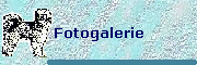 Fotogalerie