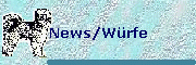 News/Würfe