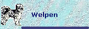 Welpen