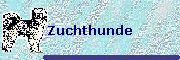 Zuchthunde