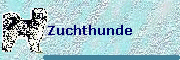 Zuchthunde