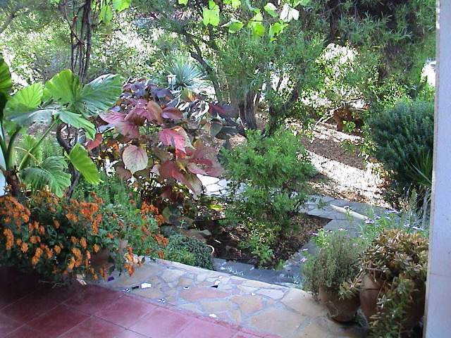 DSC00001