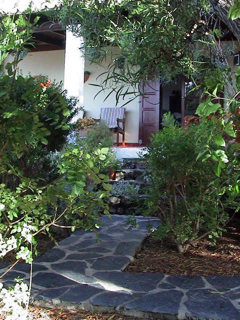 DSC00002