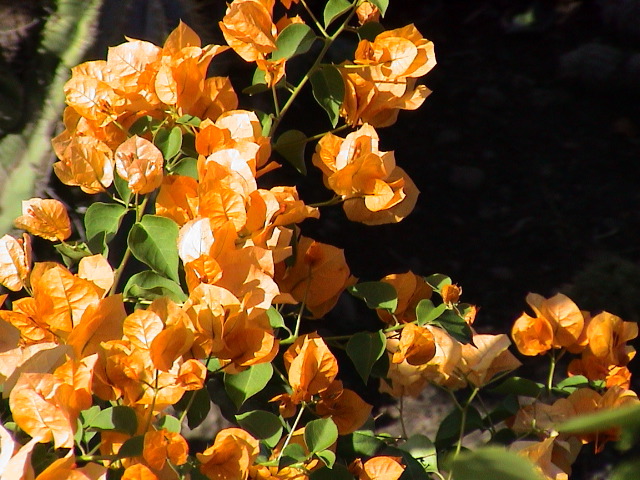 DSC00057