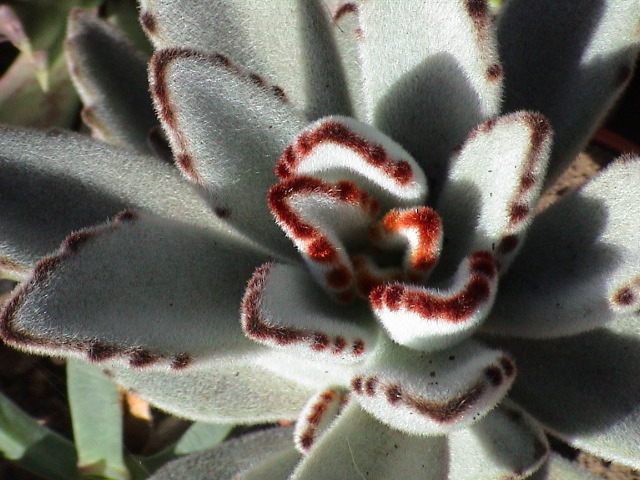 DSC00058